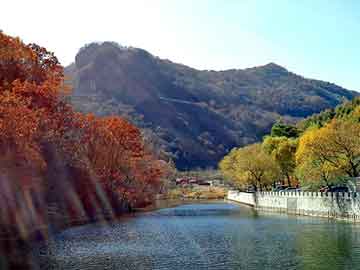 新澳天天开好彩大全，烟台龙口海景房